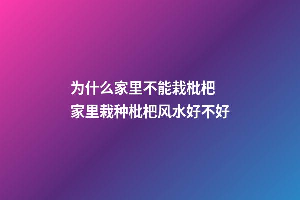 为什么家里不能栽枇杷 家里栽种枇杷风水好不好